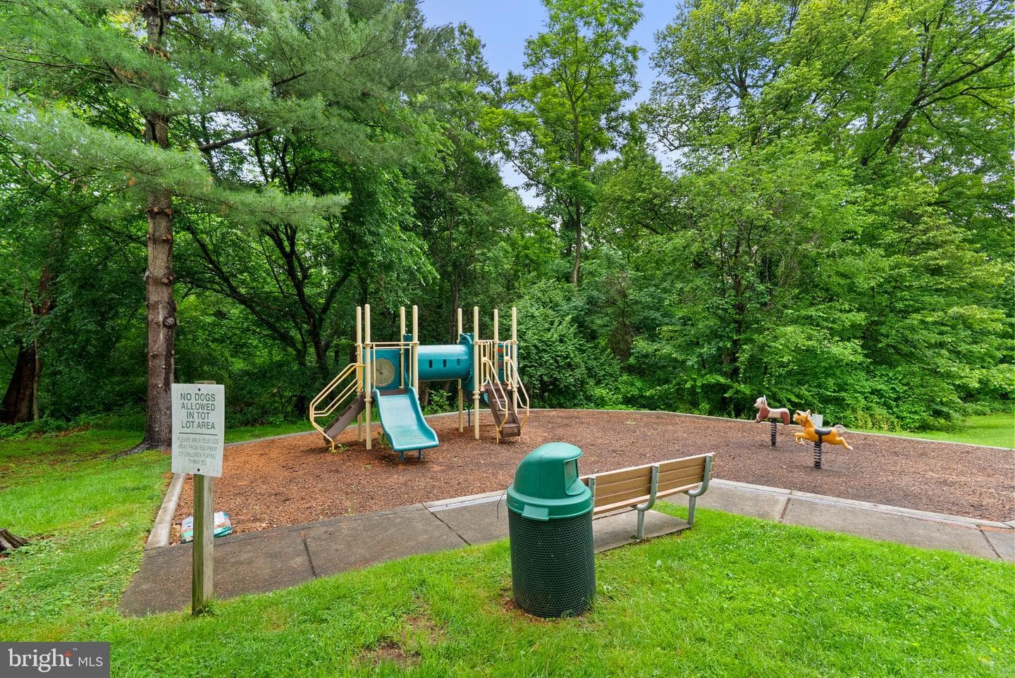 11807 Summer Oak Drive photo 32
