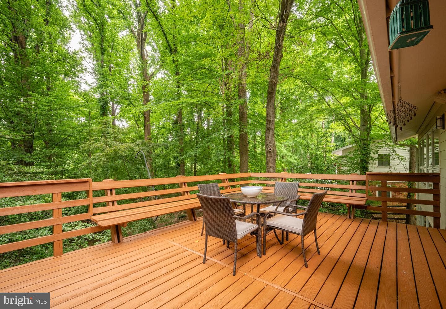 8313 Still Spring Court photo 33