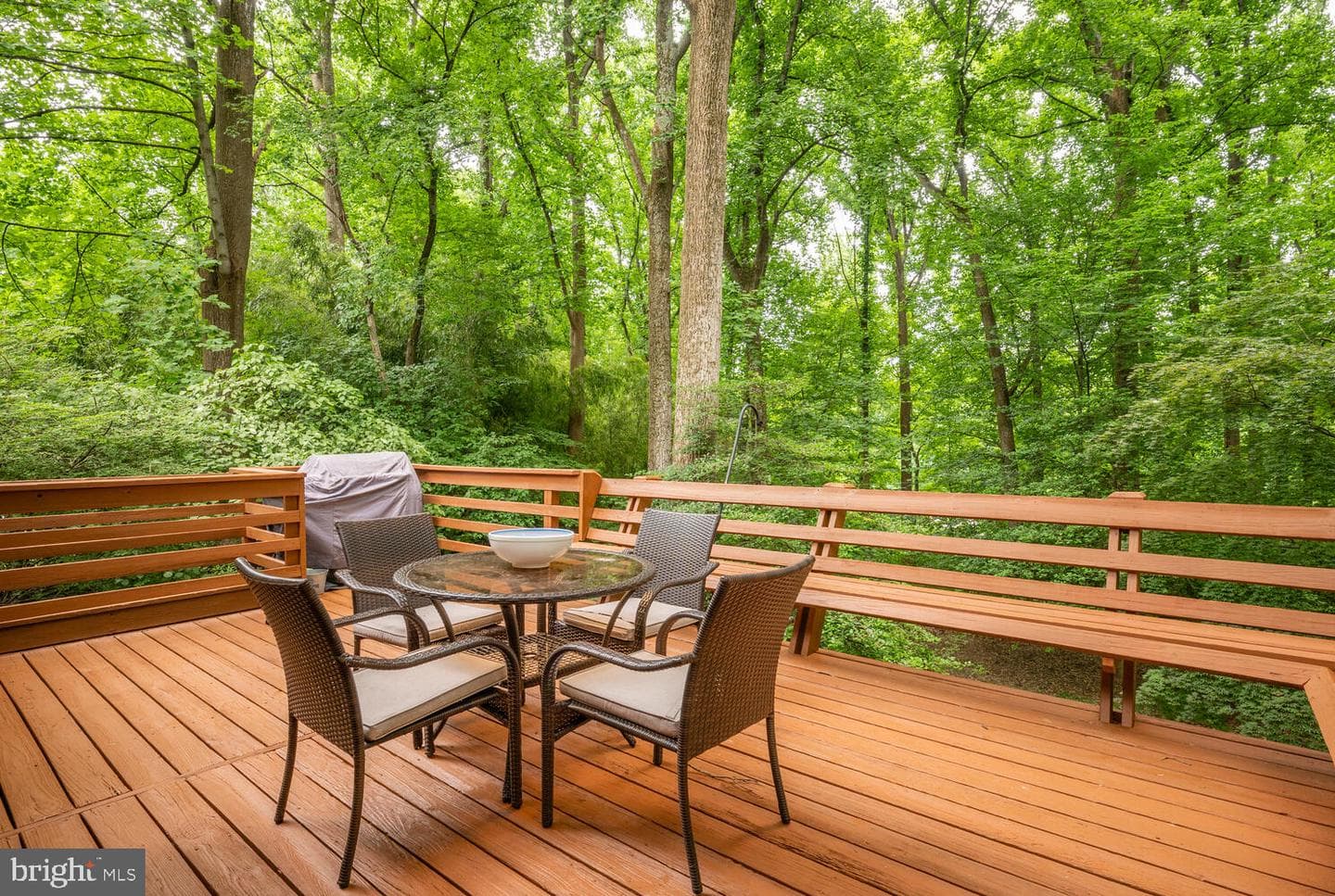 8313 Still Spring Court photo 34