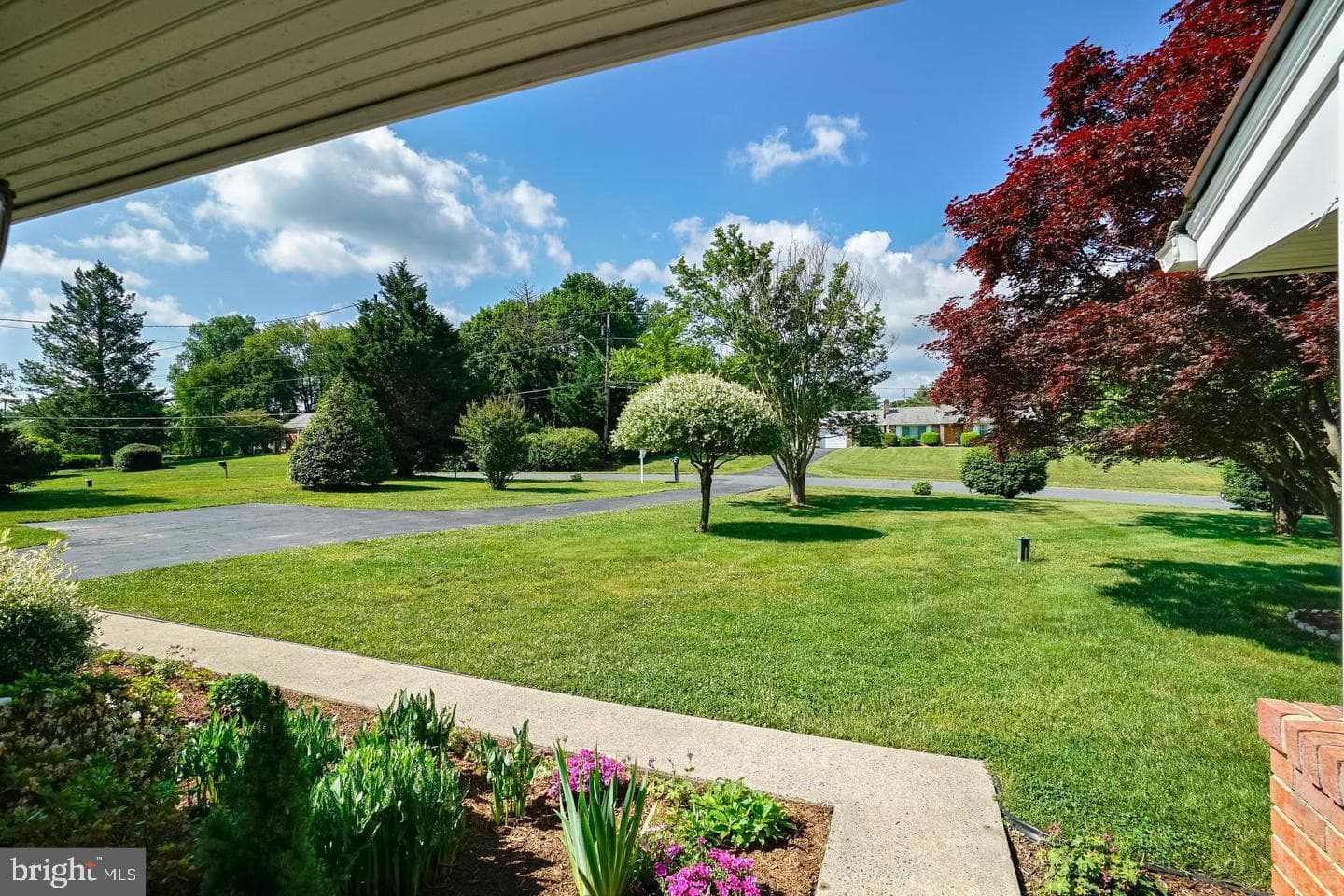 24109 Doreen Dr photo 3