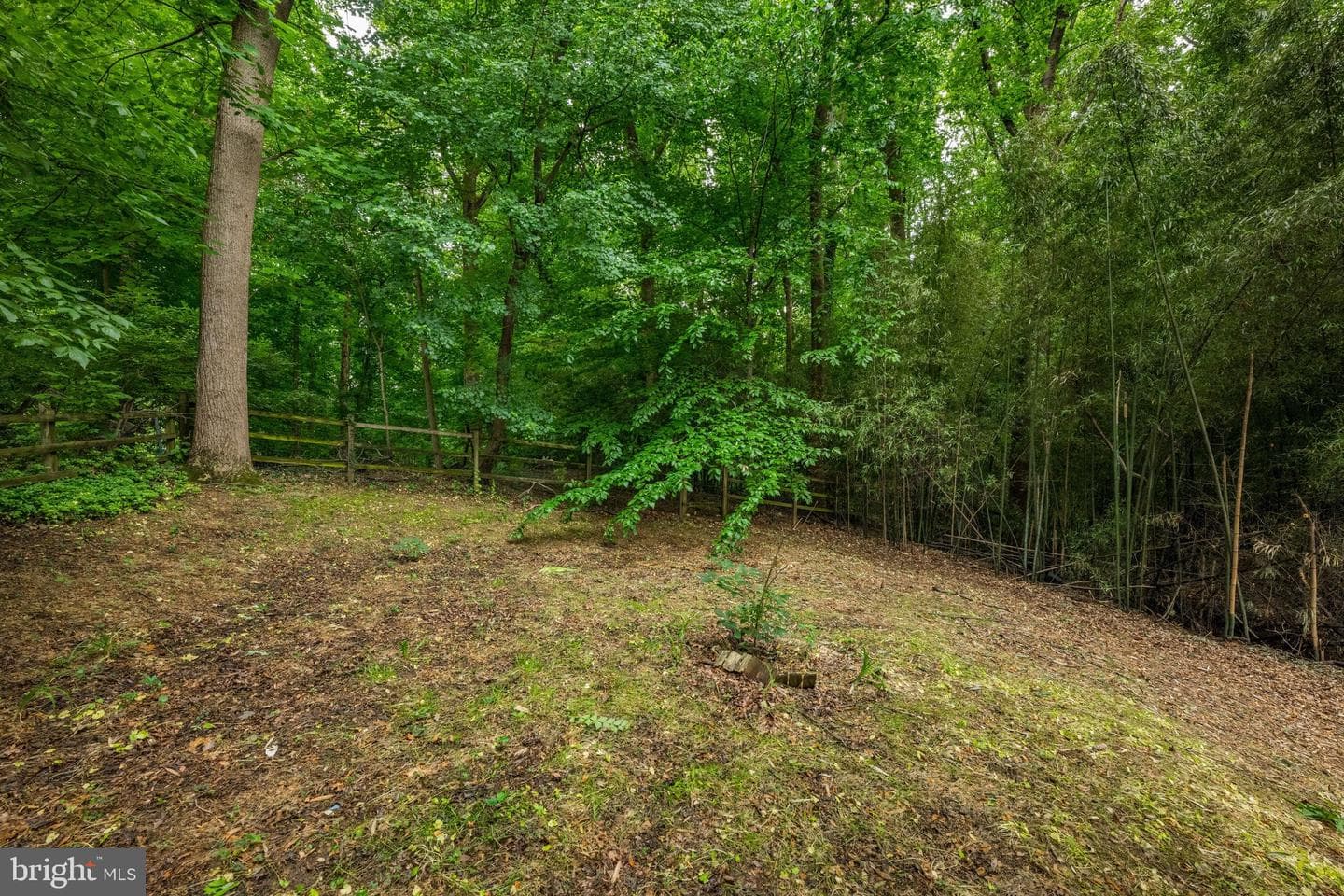 3900 Decatur Avenue photo 30