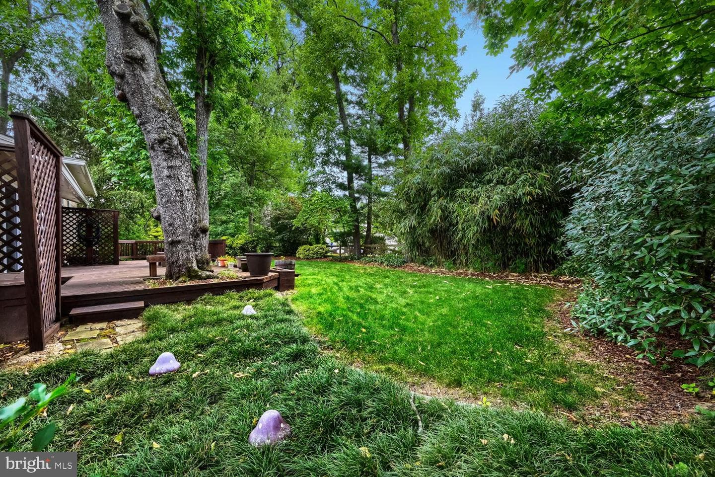 852 Diamond Drive photo 32