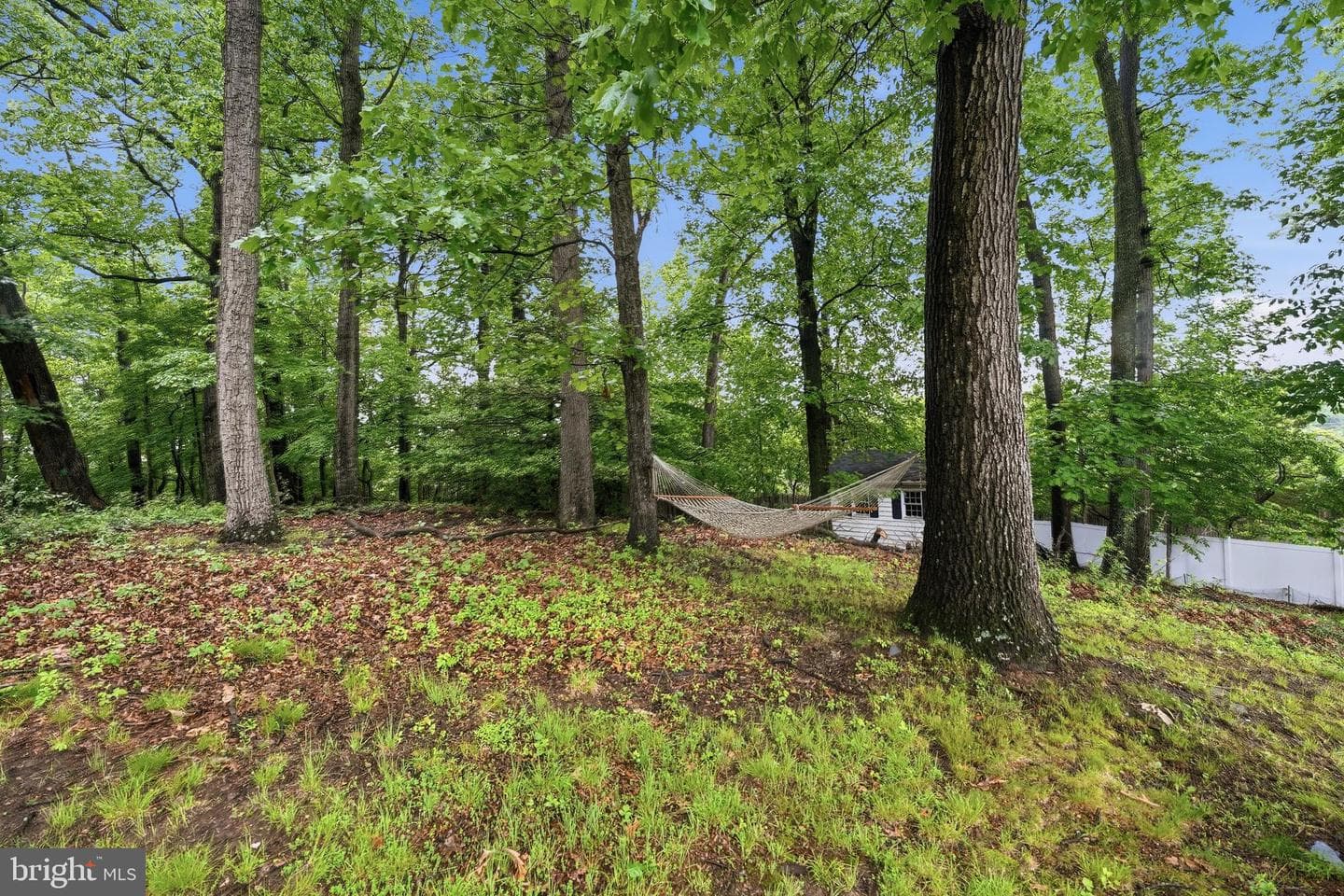 12112 Whippoorwill Lane photo 53