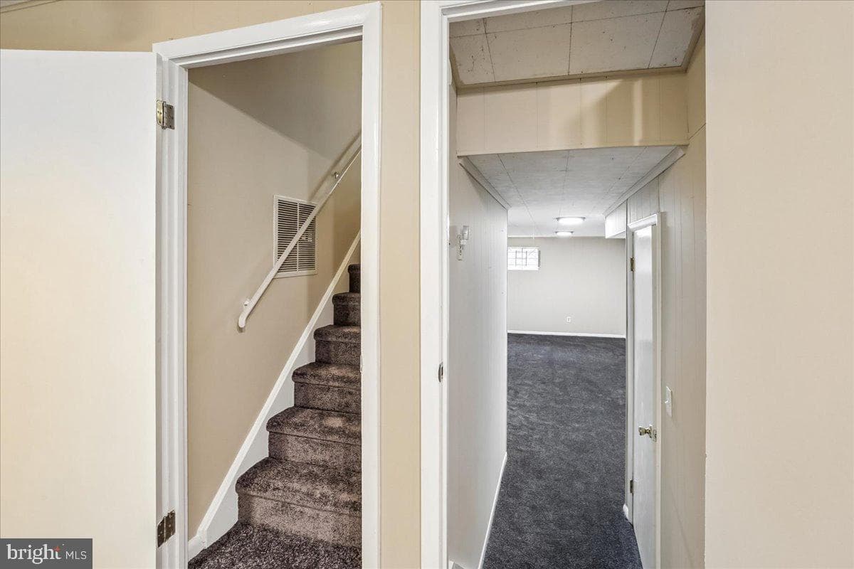 11704 Stonington Place photo 47