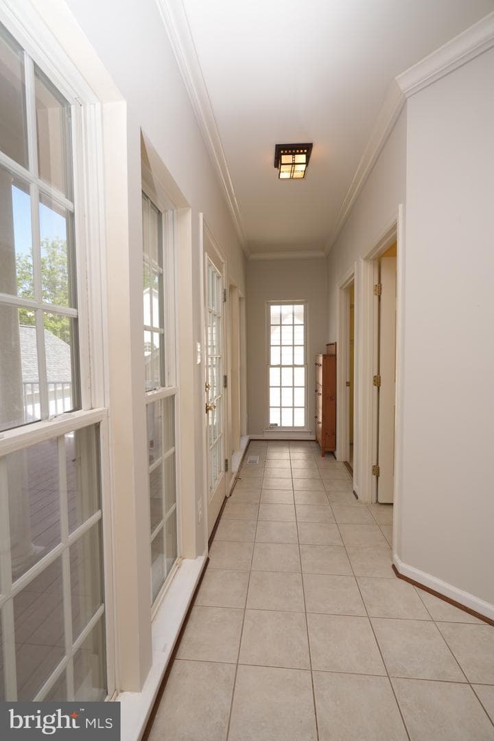 506 Leaning Oak Street photo 46