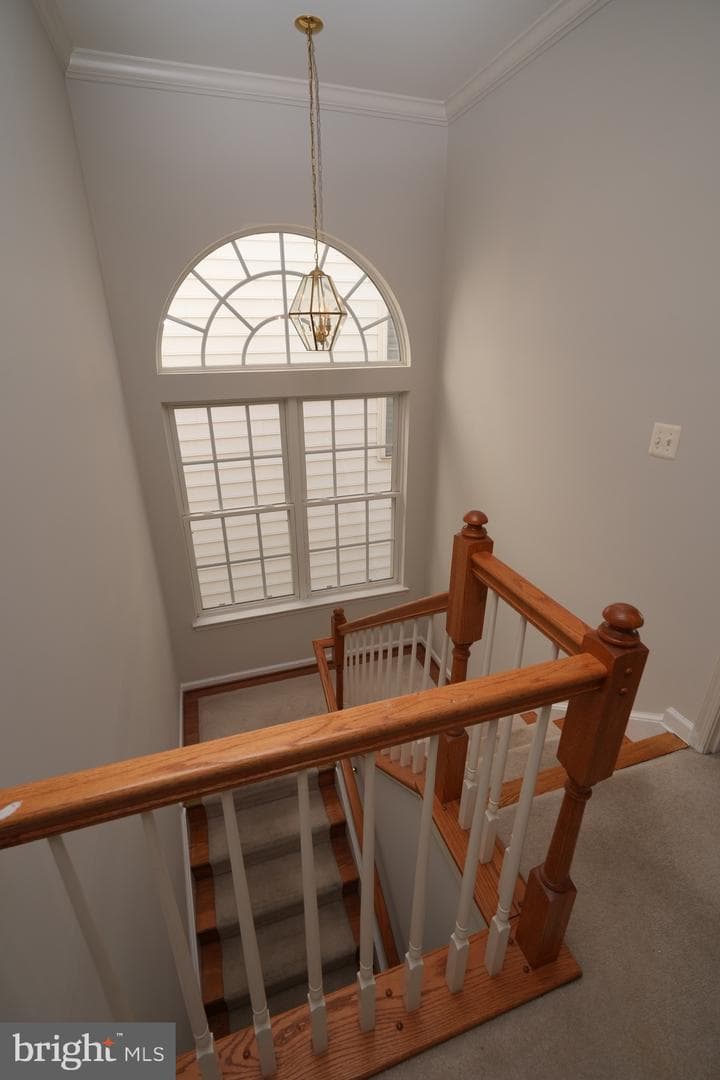 506 Leaning Oak Street photo 56