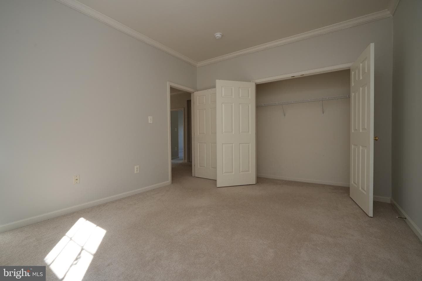 506 Leaning Oak Street photo 60
