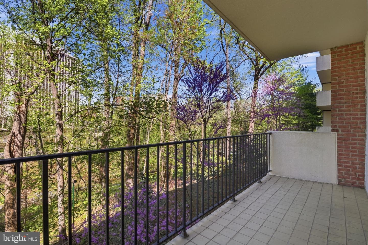 8101 Connecticut Avenue #N-304 photo 11