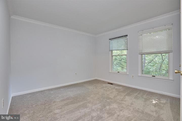 4836 Cloister Drive photo 22