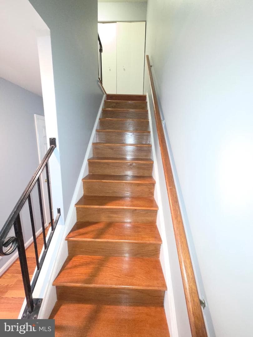9105 Chesley Knoll Court photo 15