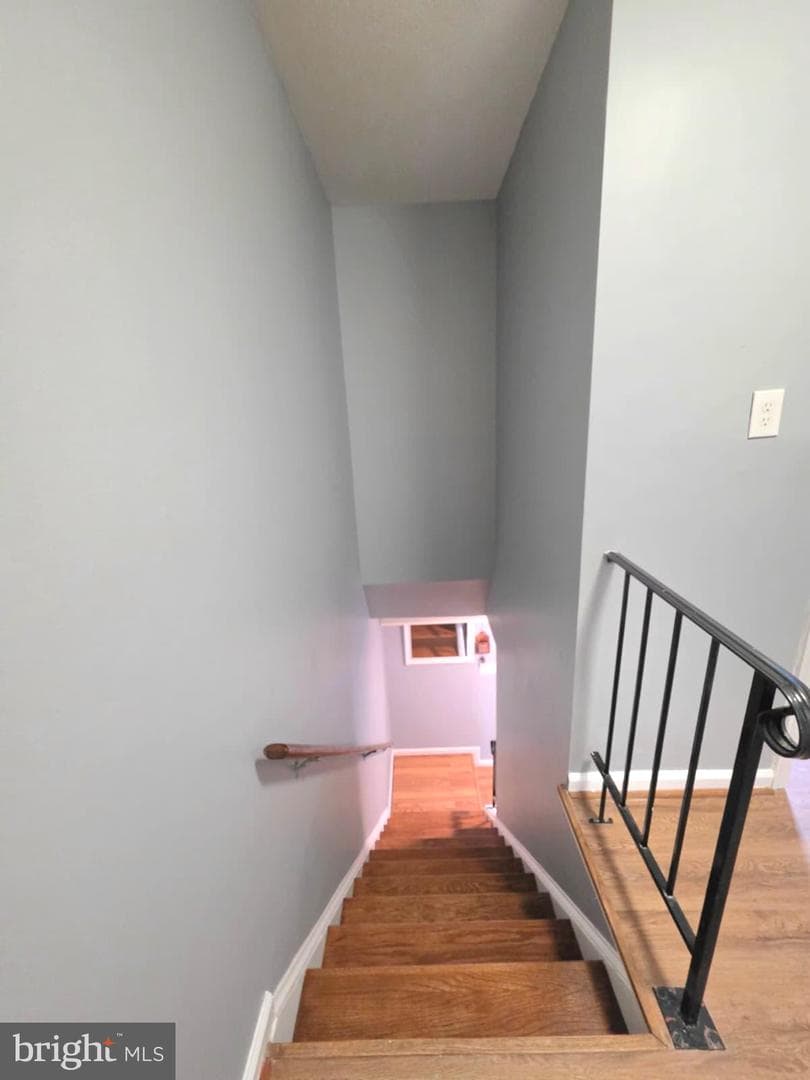 9105 Chesley Knoll Court photo 26
