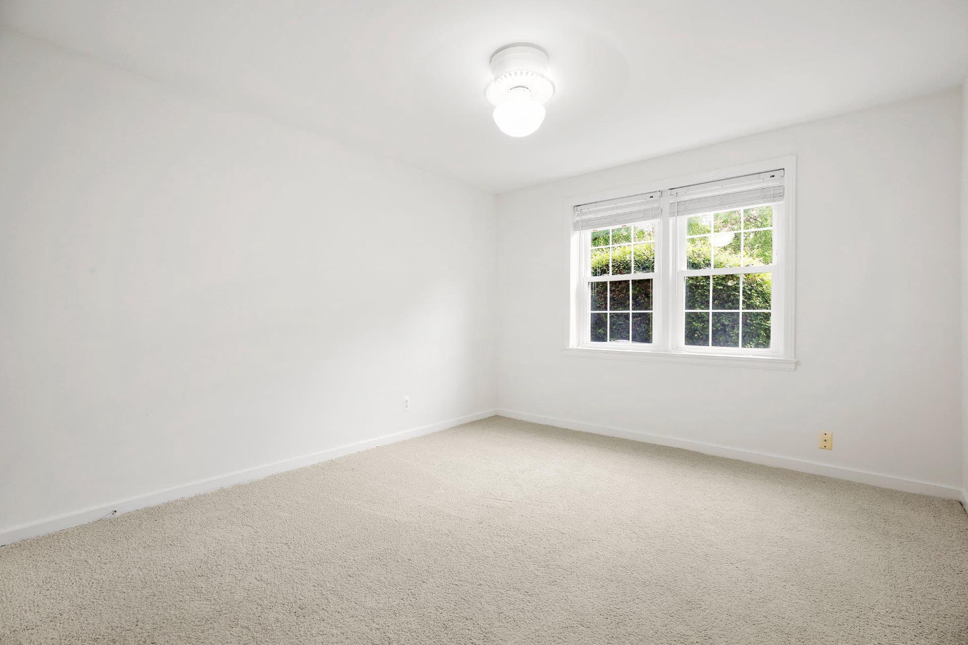 2202 Colston Drive #102 photo 16