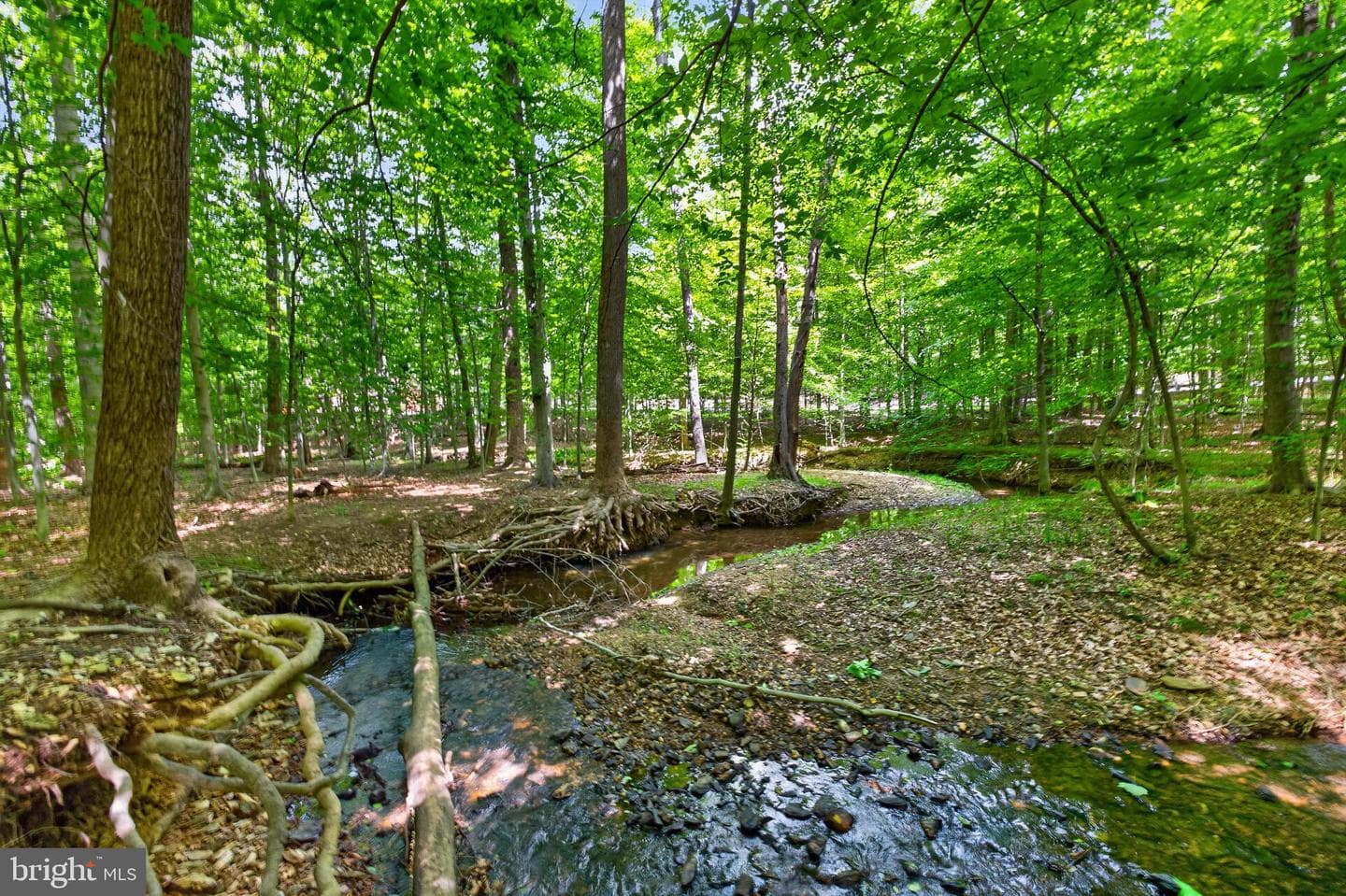 13026 Shamrock Glen Drive photo 43