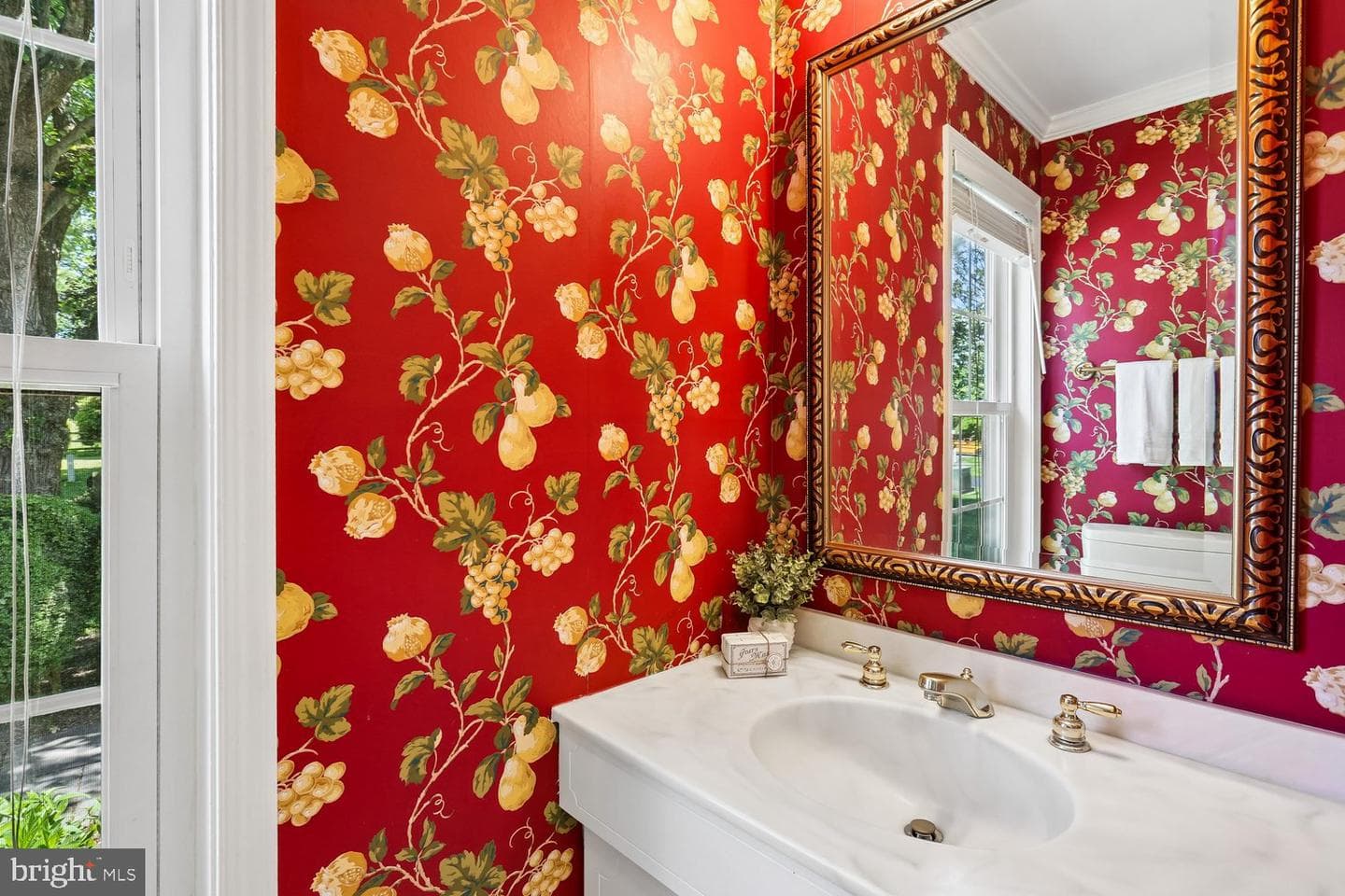 10909 Citreon Court photo 25