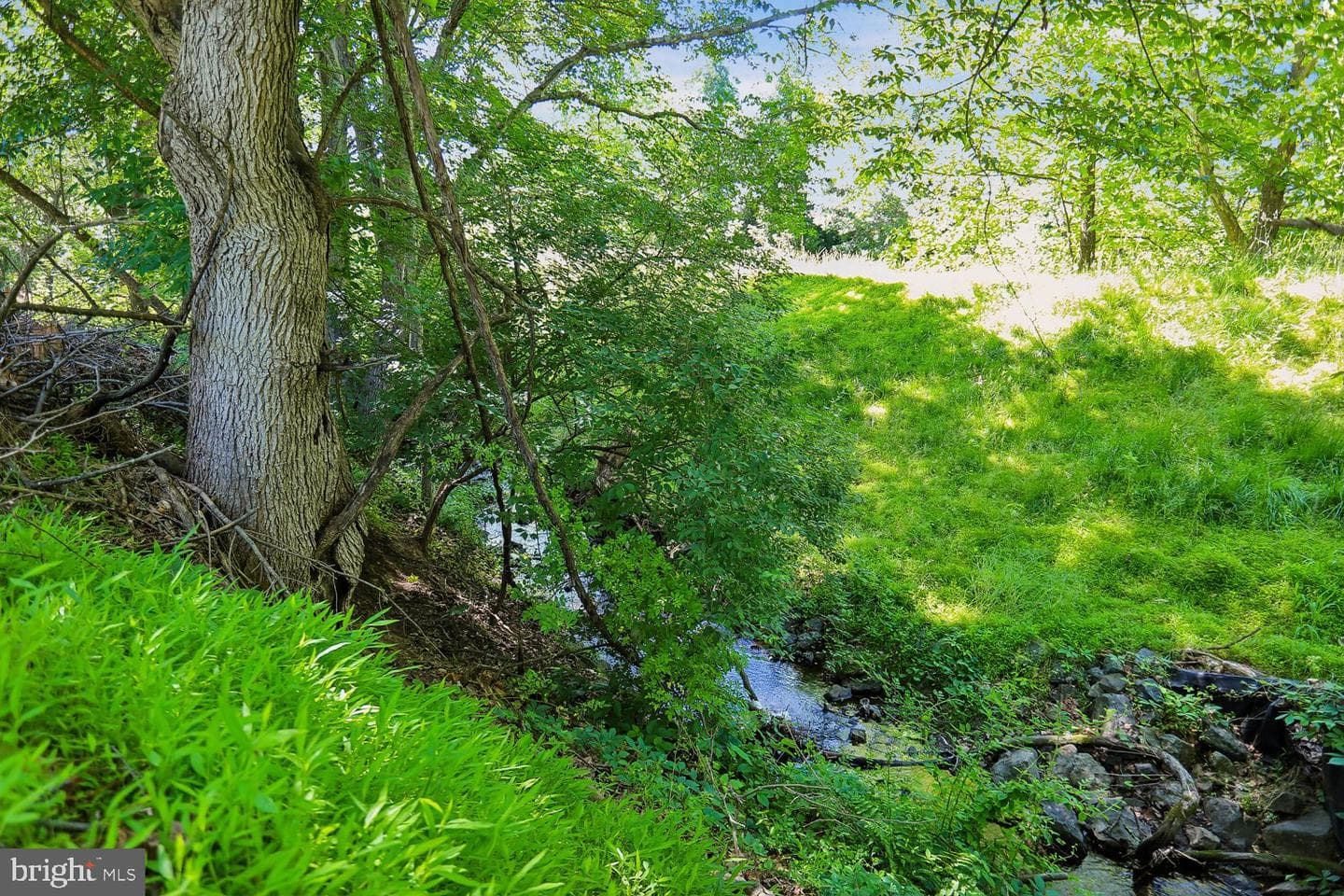 10909 Citreon Court photo 65