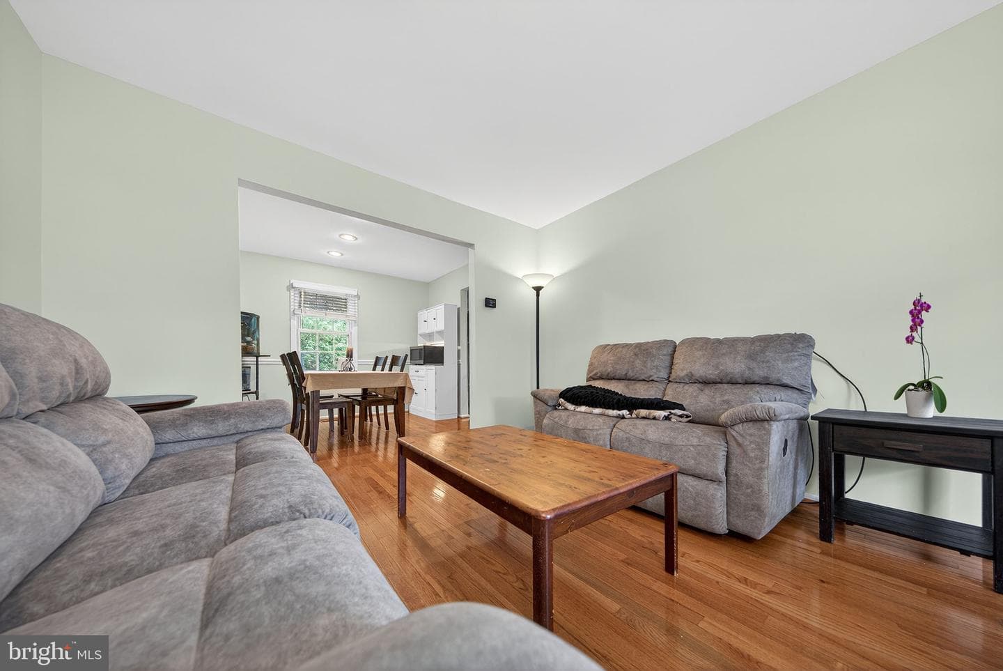 941 Paulsboro Drive photo 8