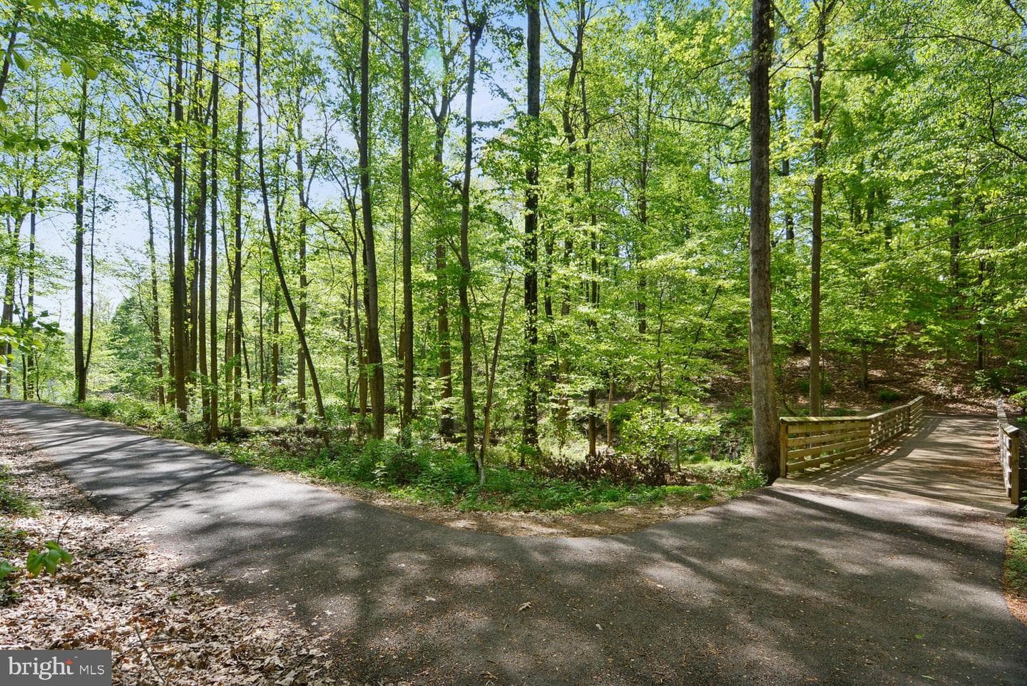 11467 Appledowre Way # 7 photo 35