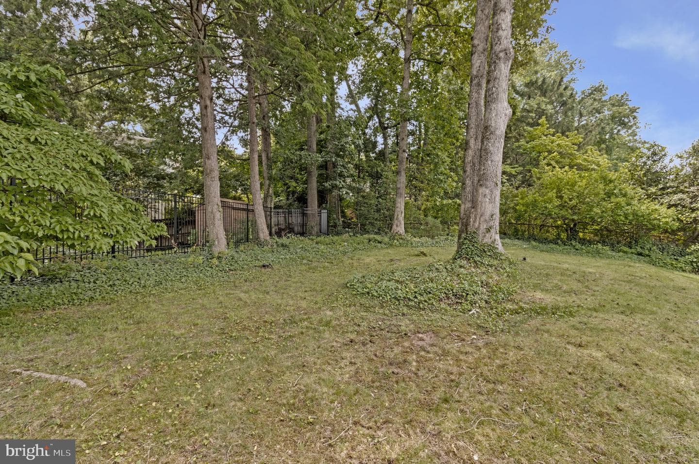 7411 Wyndale Lane photo 52