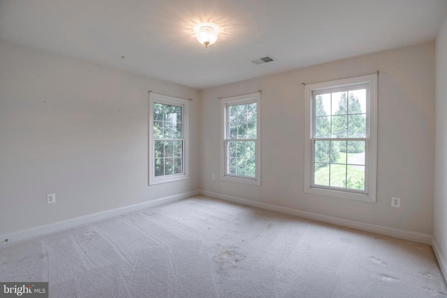 19336 Cypress Hill Way photo 50