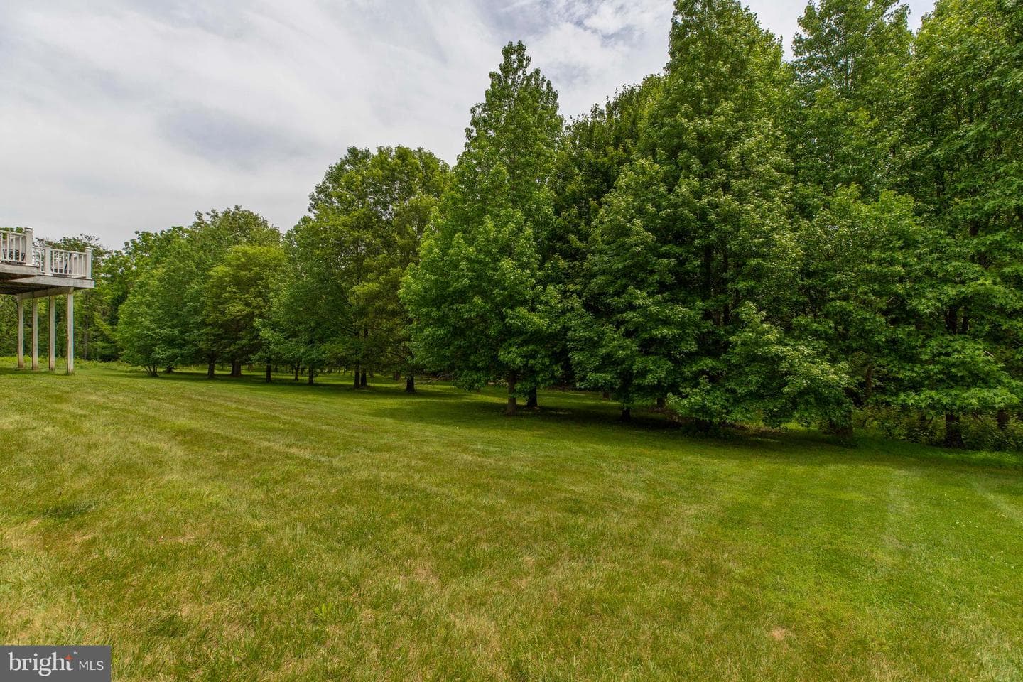 19336 Cypress Hill Way photo 76