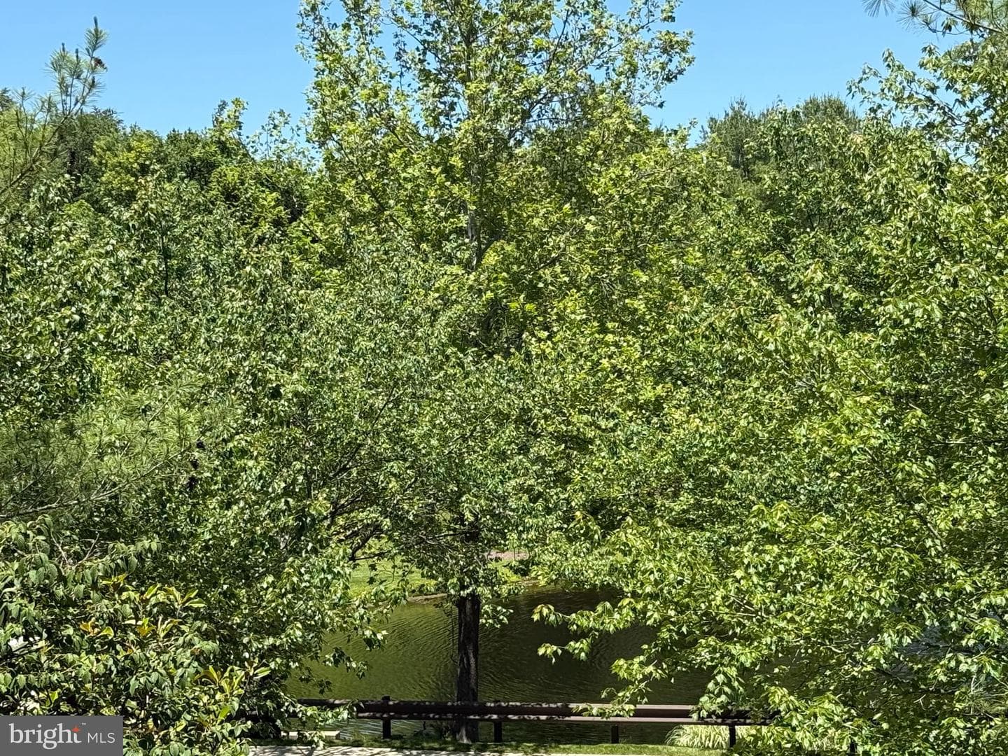 10407 Dalebrooke Lane photo 6