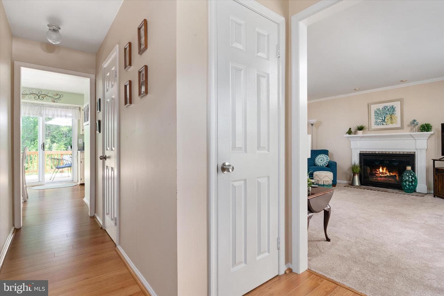 3300 Pisner Terrace photo 5