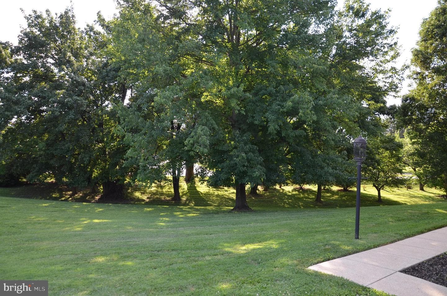13813 Golden Fields Court photo 61