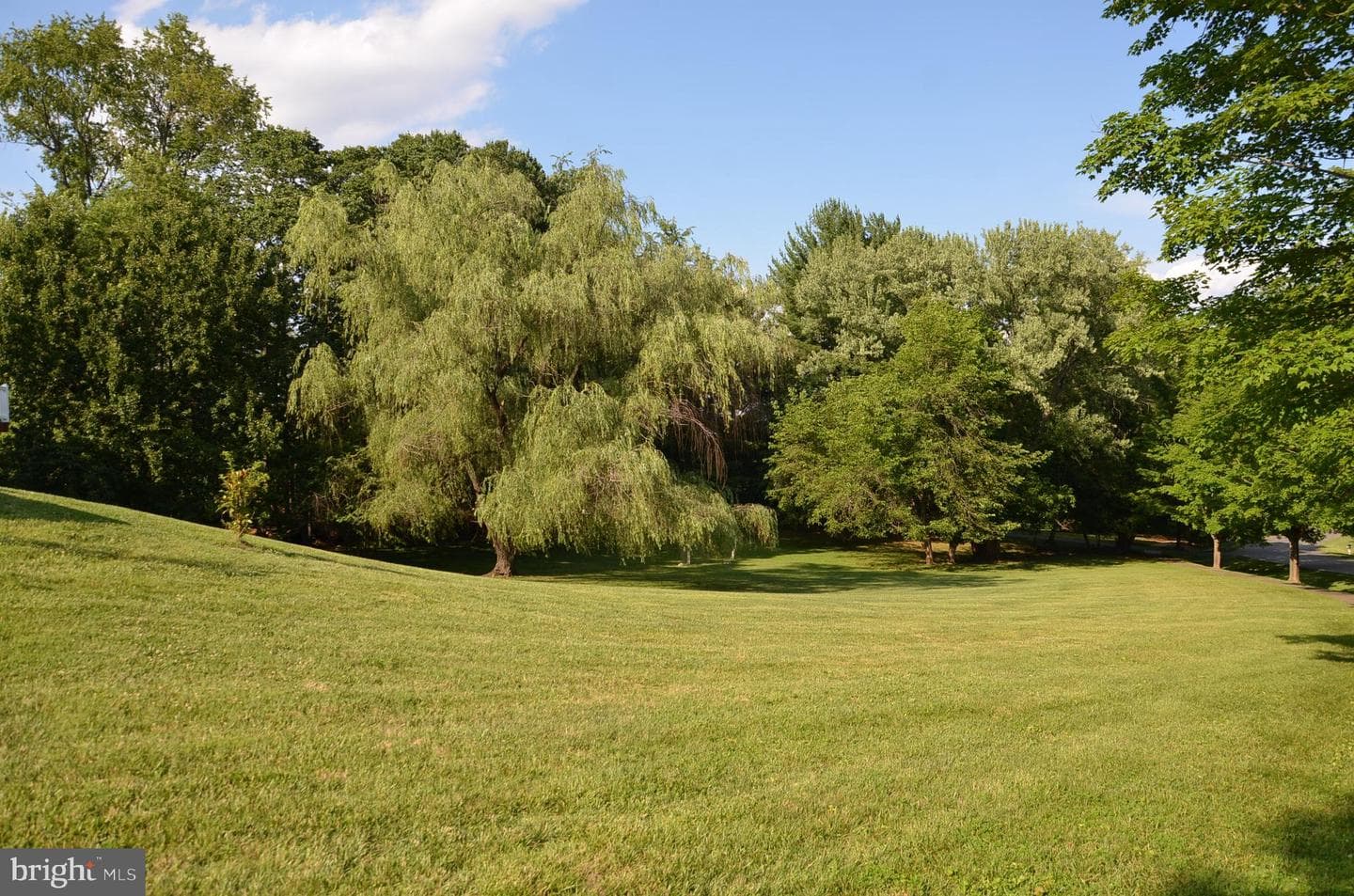 13813 Golden Fields Court photo 63