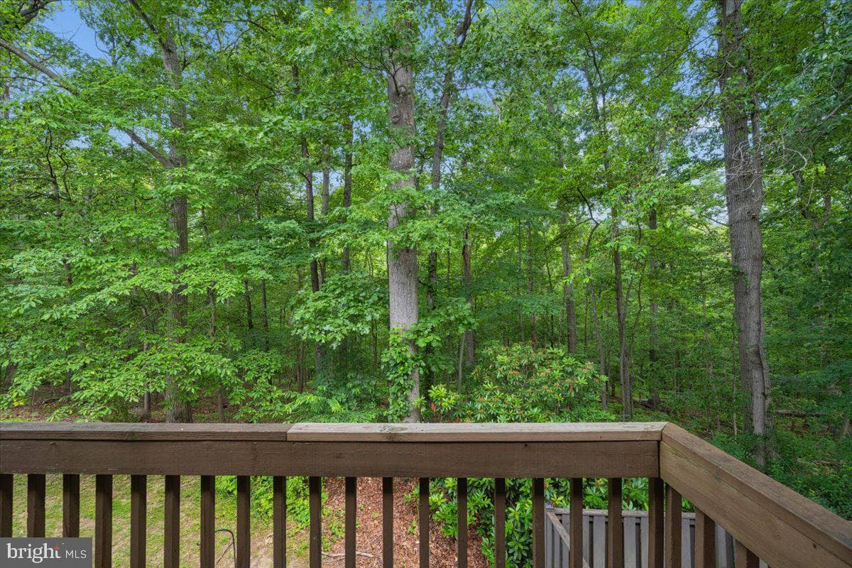 10113 Maple Leaf Drive photo 14