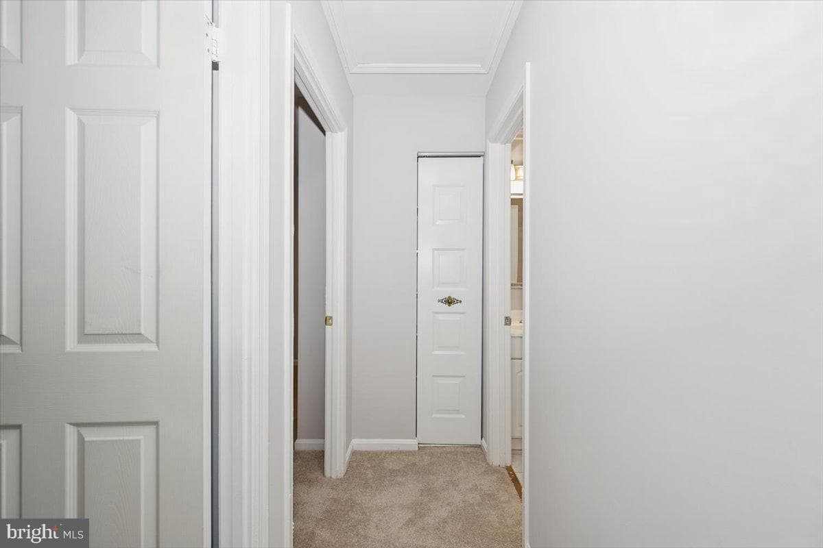 10113 Maple Leaf Drive photo 29