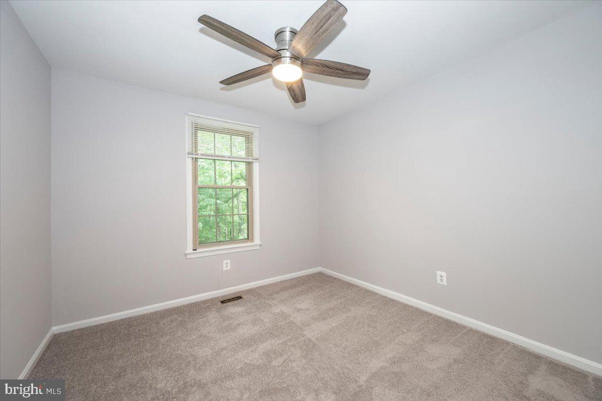 10113 Maple Leaf Drive photo 32