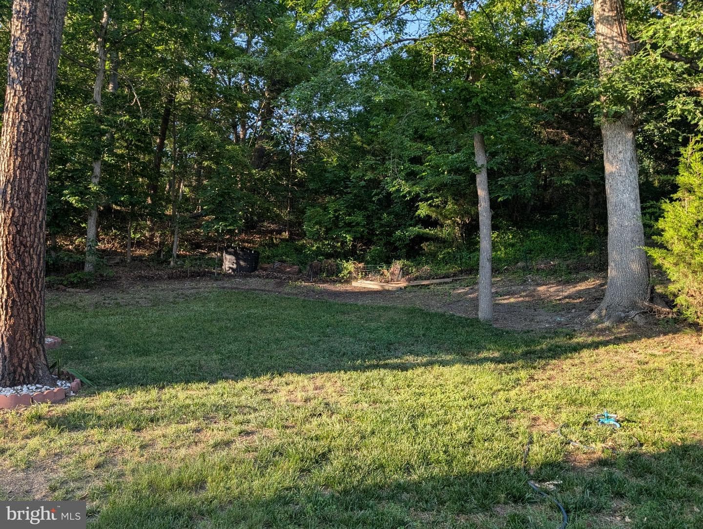 13003 Alpenhorn Way photo 11