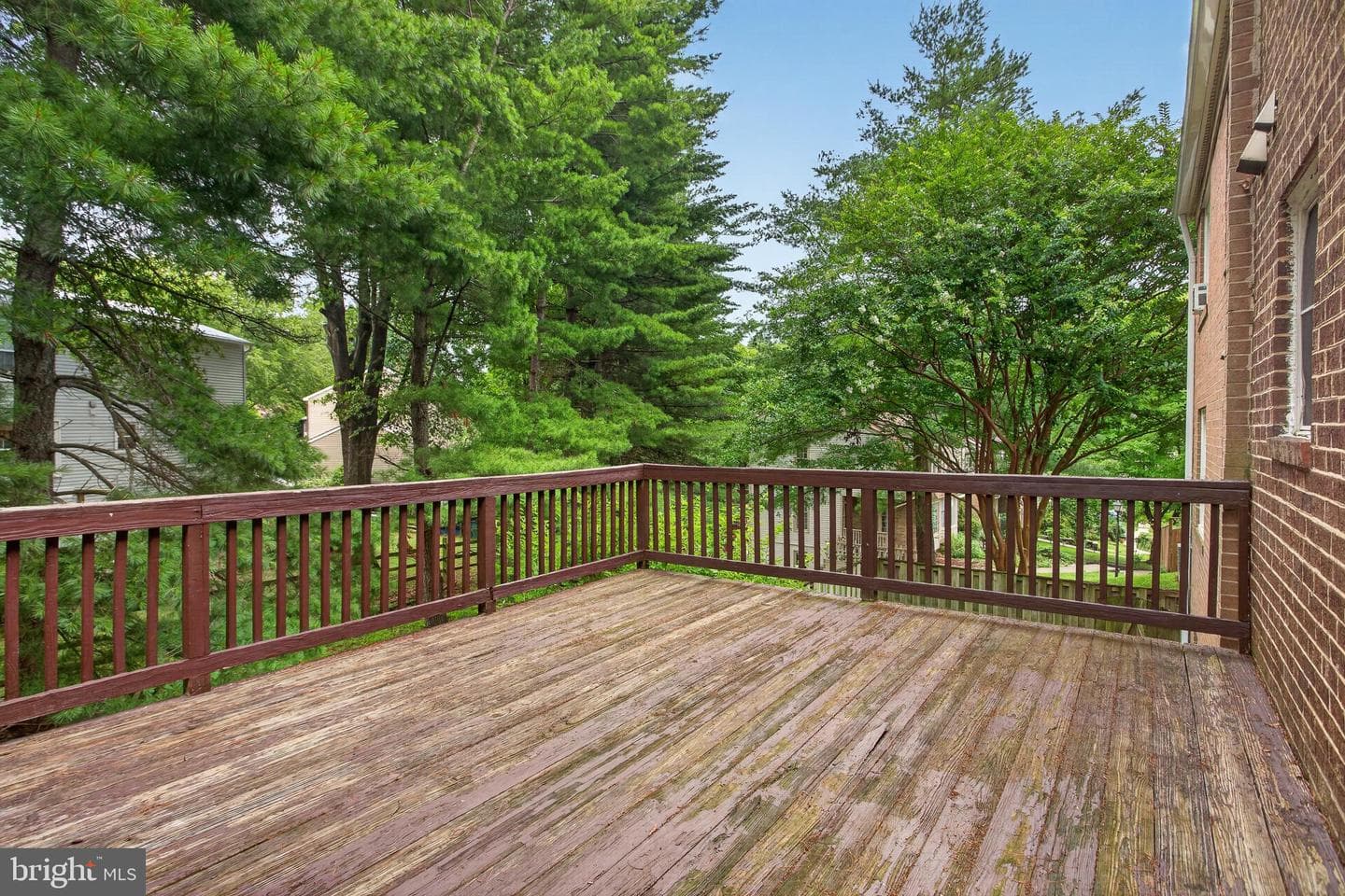 13219 Black Walnut Court photo 10