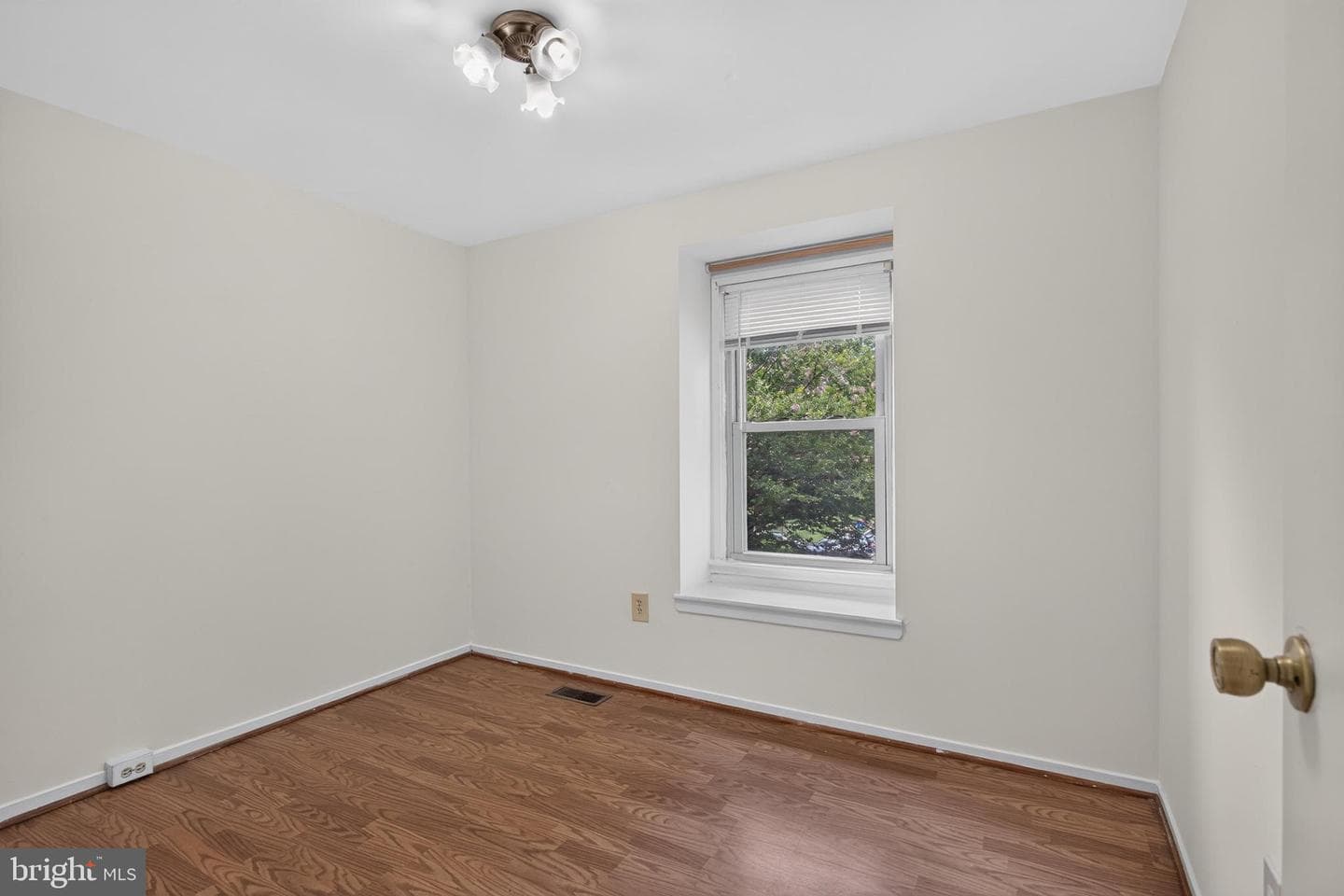 13219 Black Walnut Court photo 13