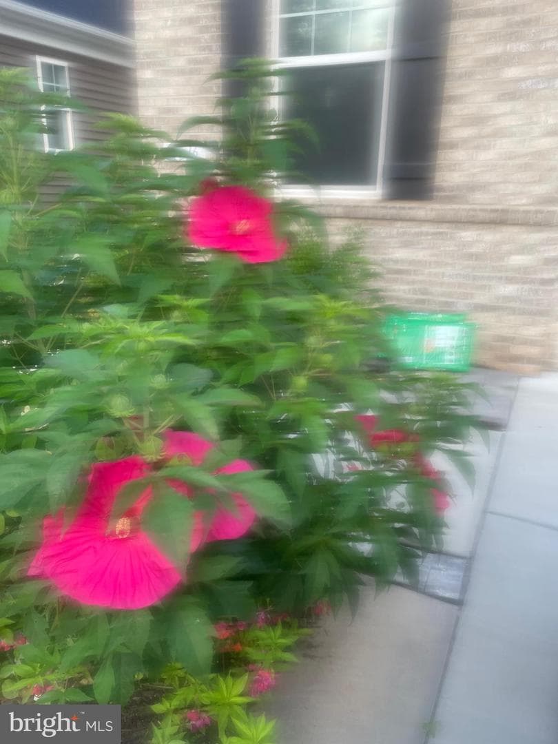 13516 Goldeneye Circle photo 92