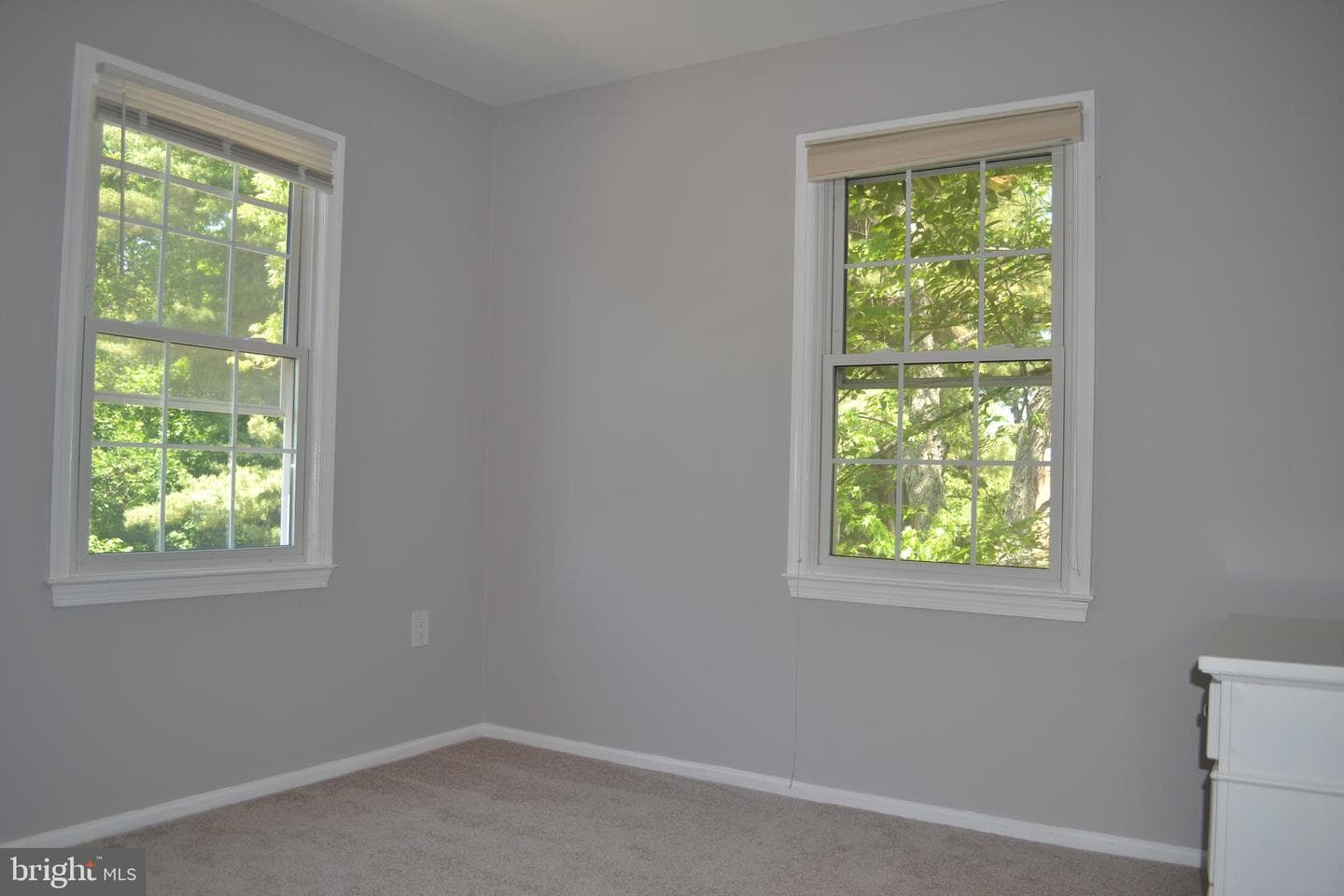 1 Ingleside Court photo 14