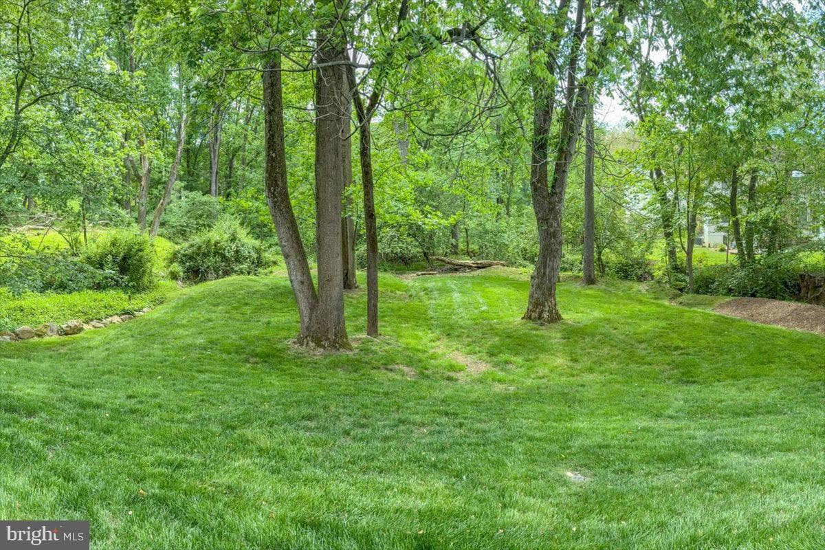 4 Deer Trail Court photo 61