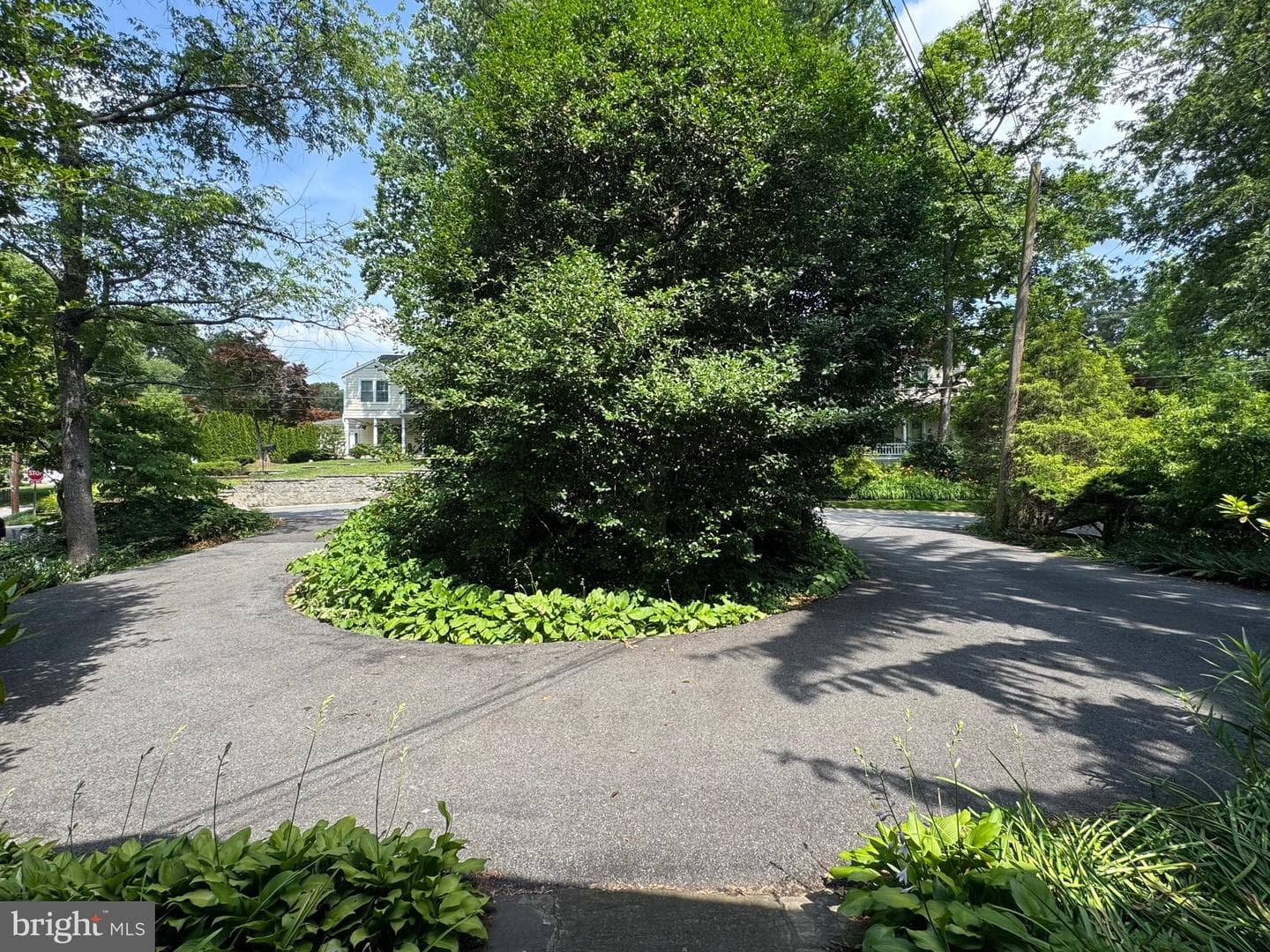 10206 Frederick Avenue photo 33