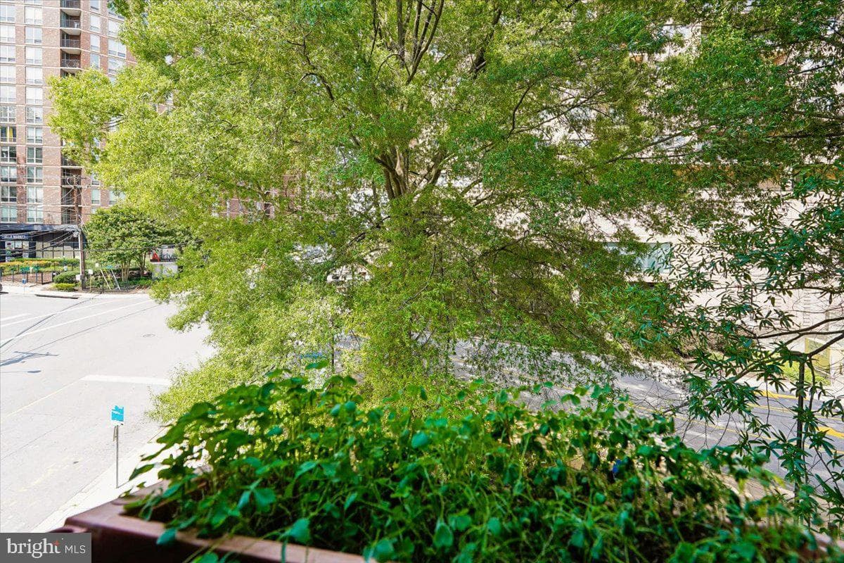1320 Fenwick Lane #301 photo 15