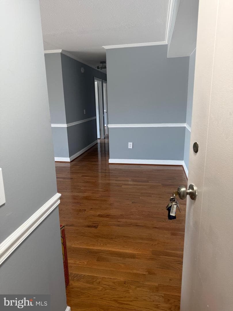 8308 Flower Avenue #401 photo 5