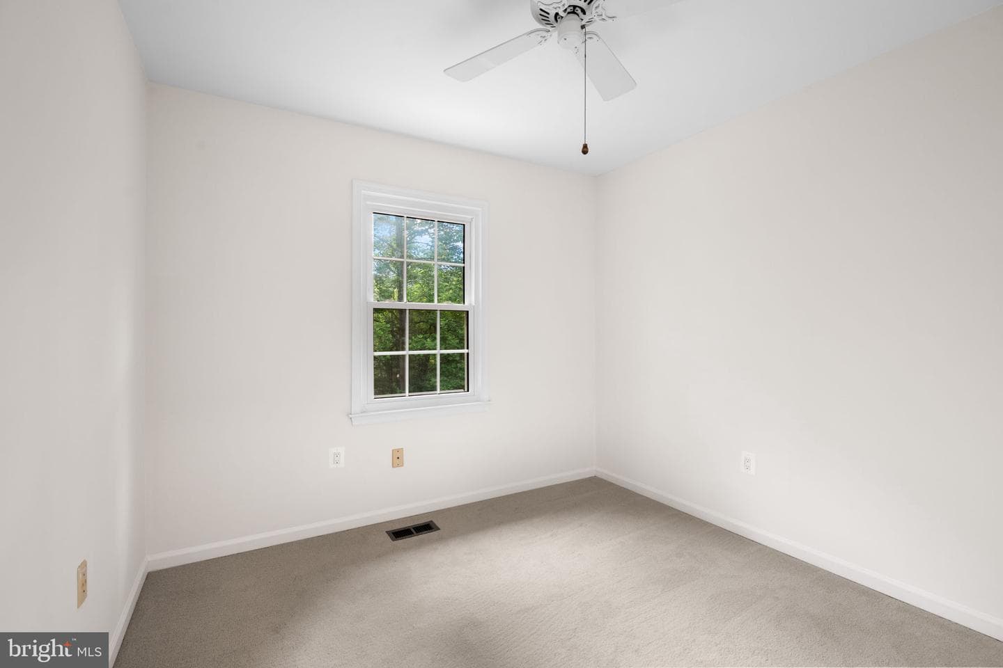 5 Longworth Court photo 26