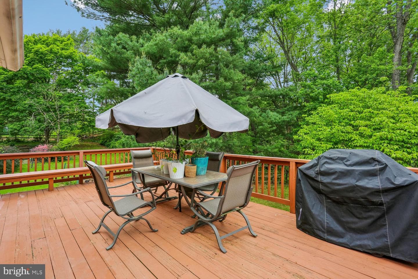 11301 Stryver Court photo 14