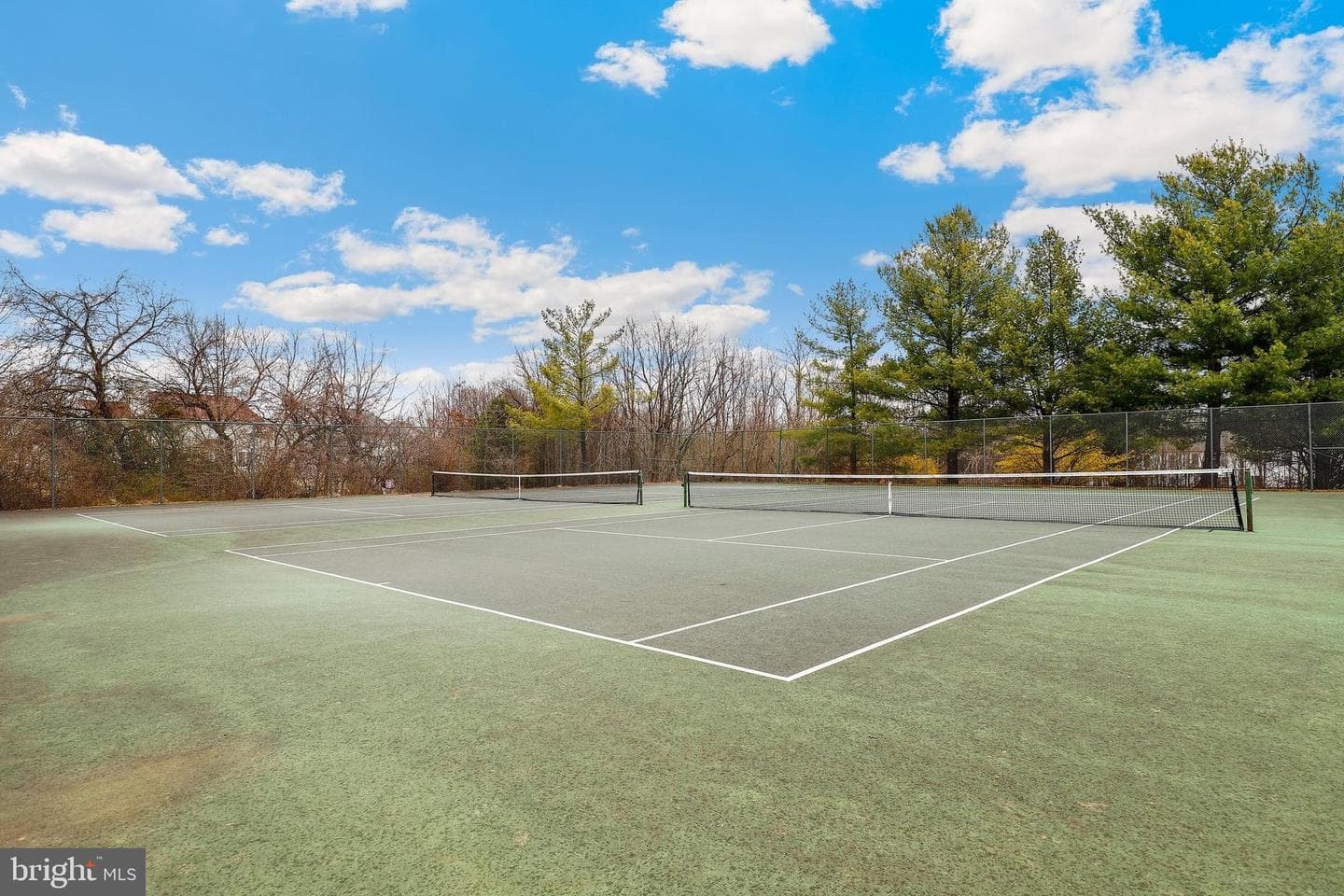 13710 Lark Song Drive photo 23