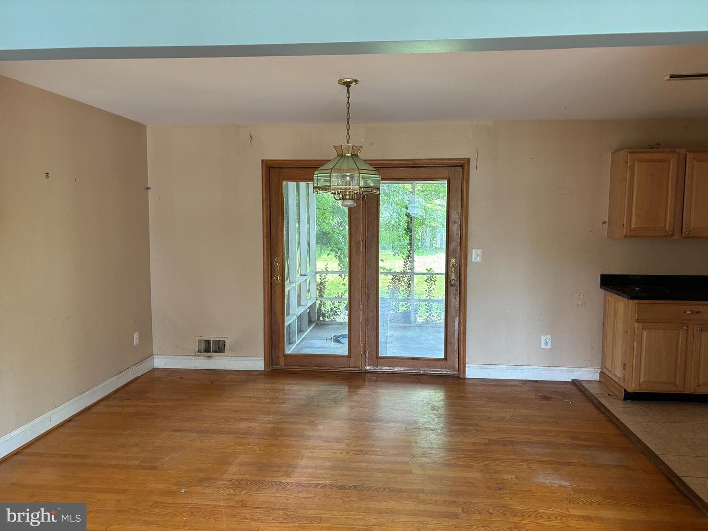906 Venice Drive photo 5