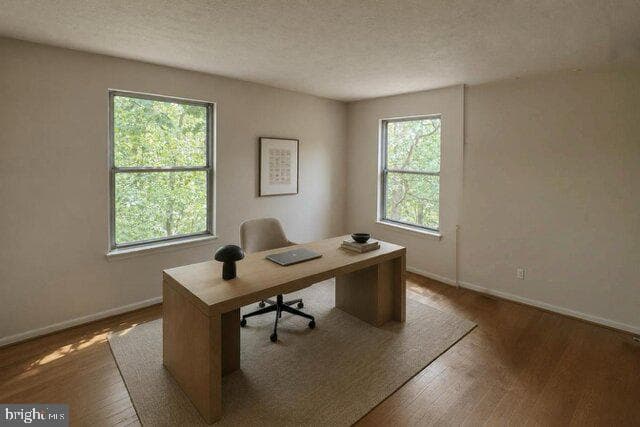 12033 Winding Creek Way photo 7