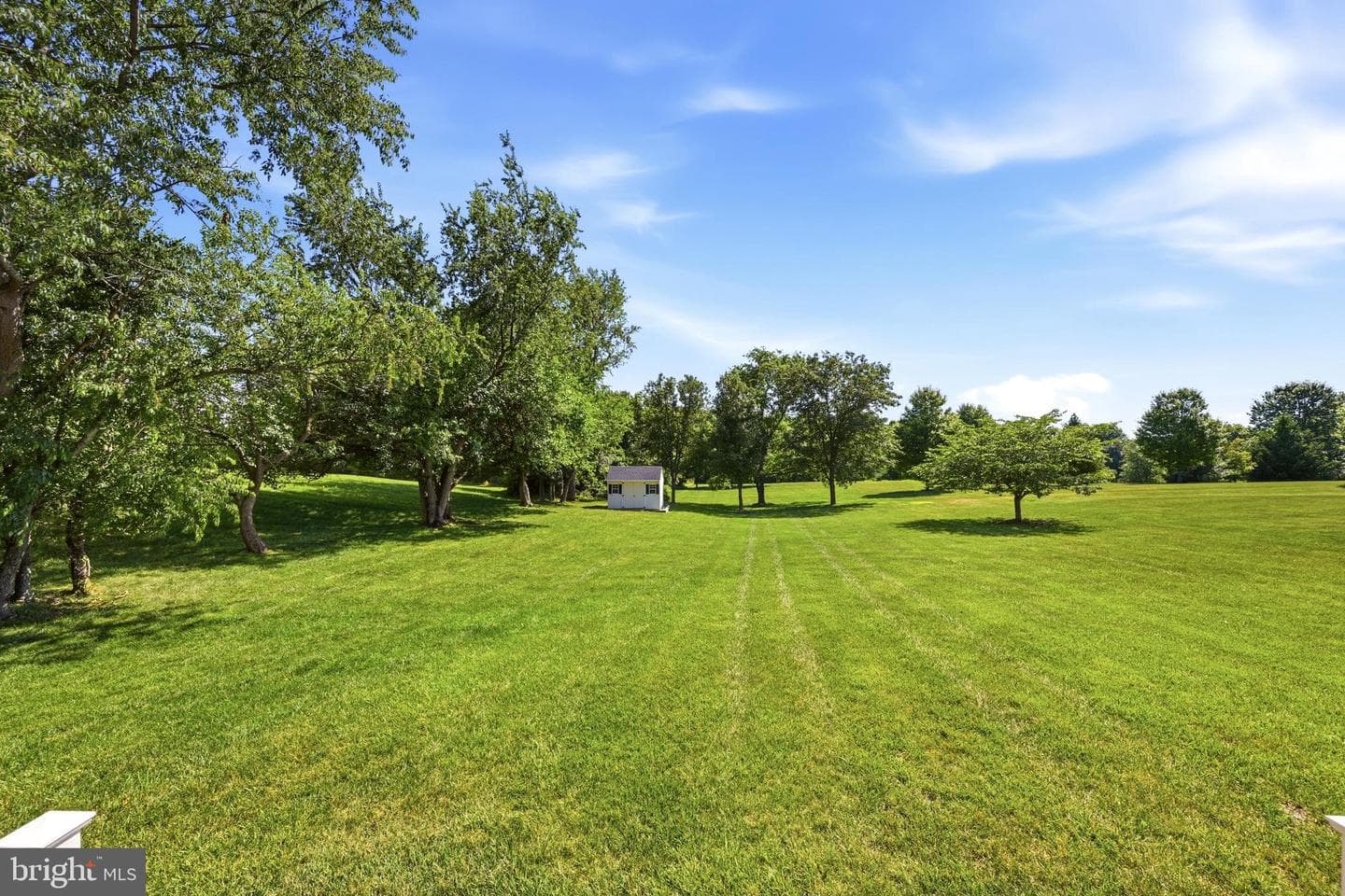 15210 Briarcliff Manor Way photo 60
