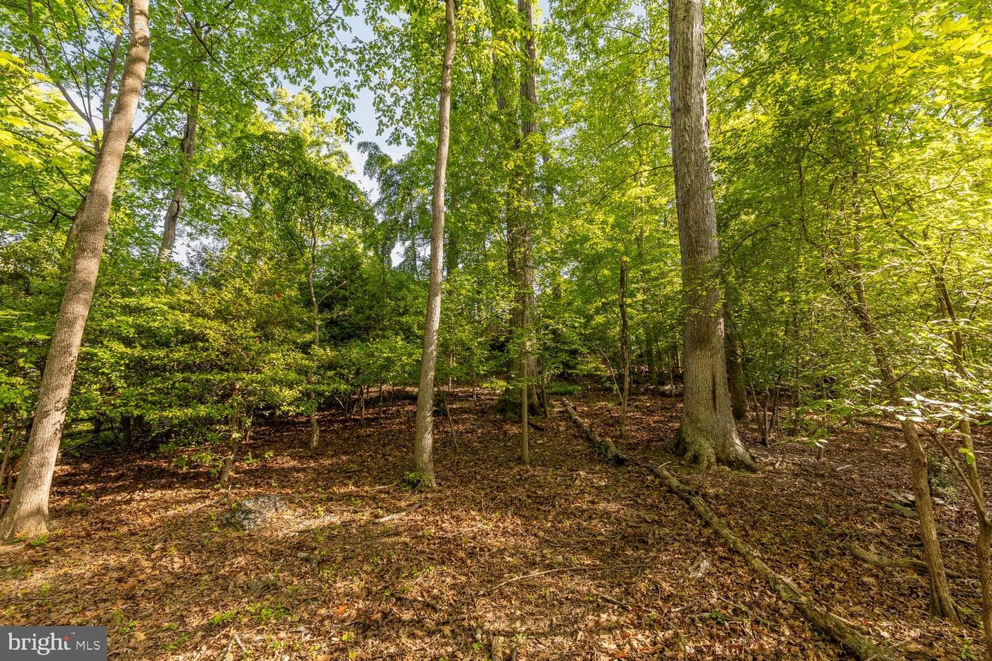 11601 Magruder Lane photo 38