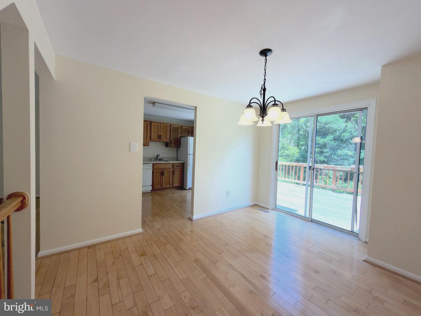 10509 Smithy Court photo 22