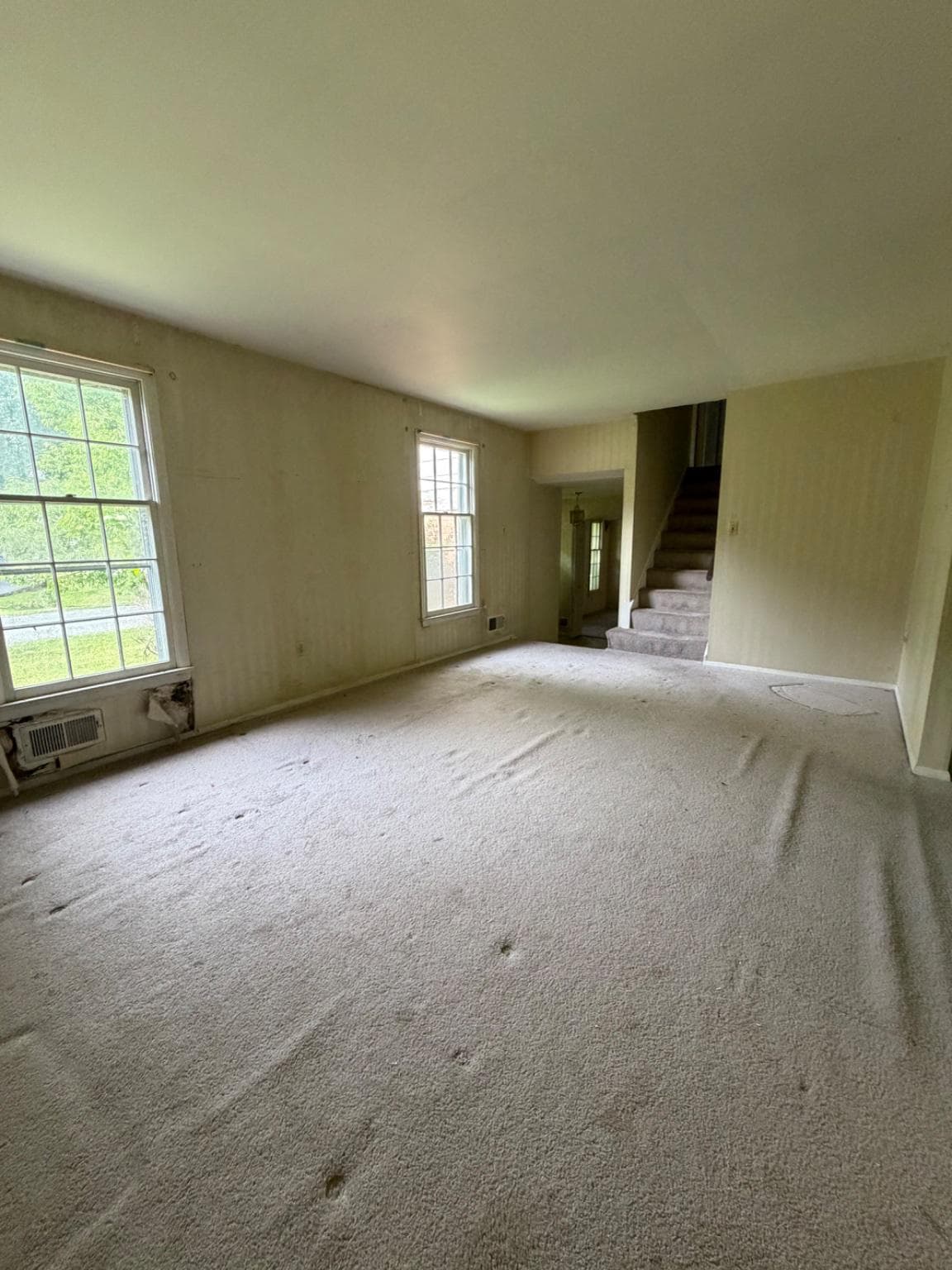 913 Windmill Lane photo 8