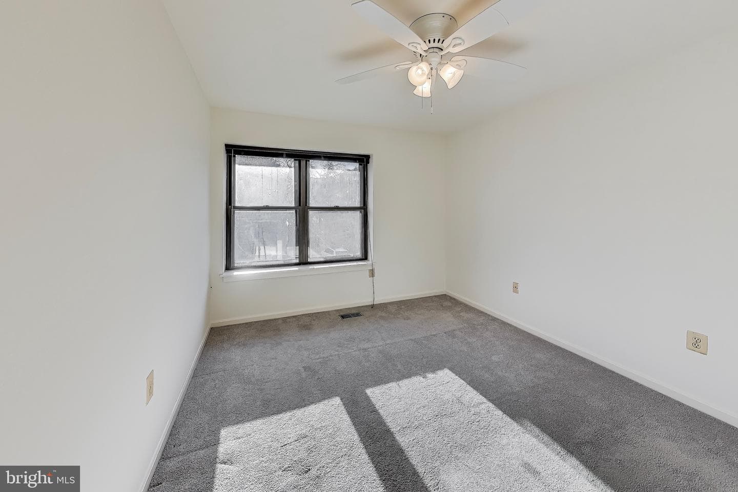 16 Dudley Court #7 photo 12